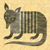 armadillo
