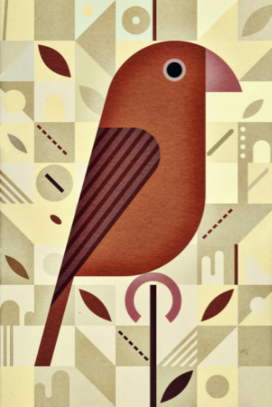 Scott Partridge - Illustration - S�o Tom� Grosbeak