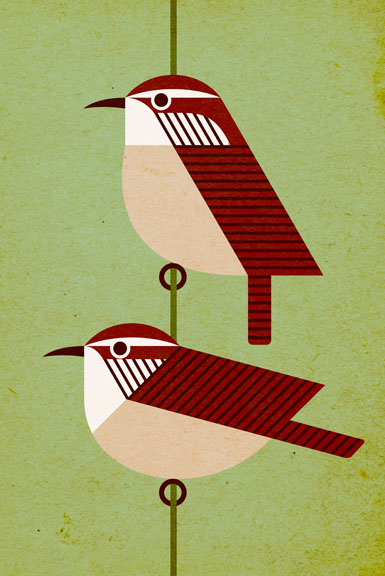 Scott Partridge - Illustration - Niceforo�s Wren