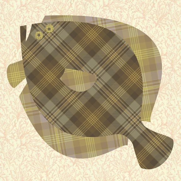 Scott Partridge - illustration - flounder