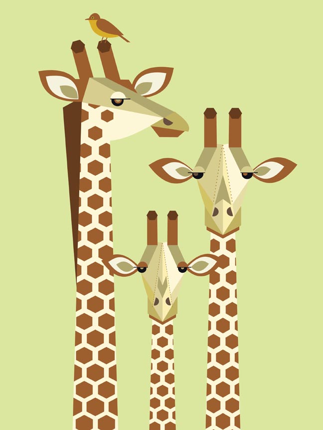giraffe family