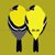 red cokaded woodpeckers