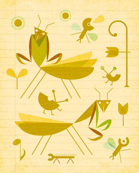 insects