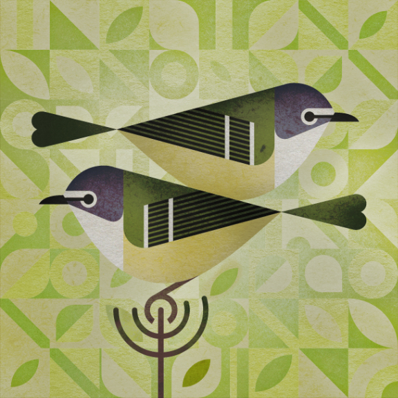 scott partridge - bird genoscape project - Blue-Headed Vireo