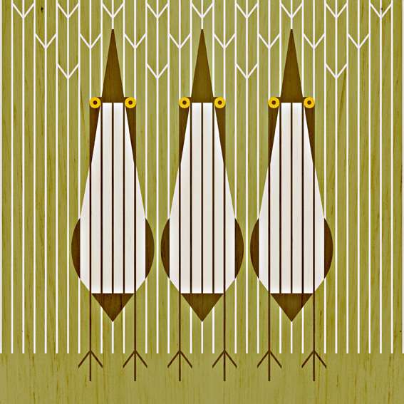 scott partridge - bird illustrations - terra maris - bittern