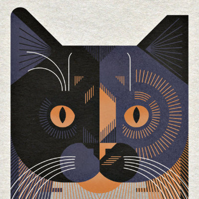Scott Partridge - animal portrait - tortoiseshell