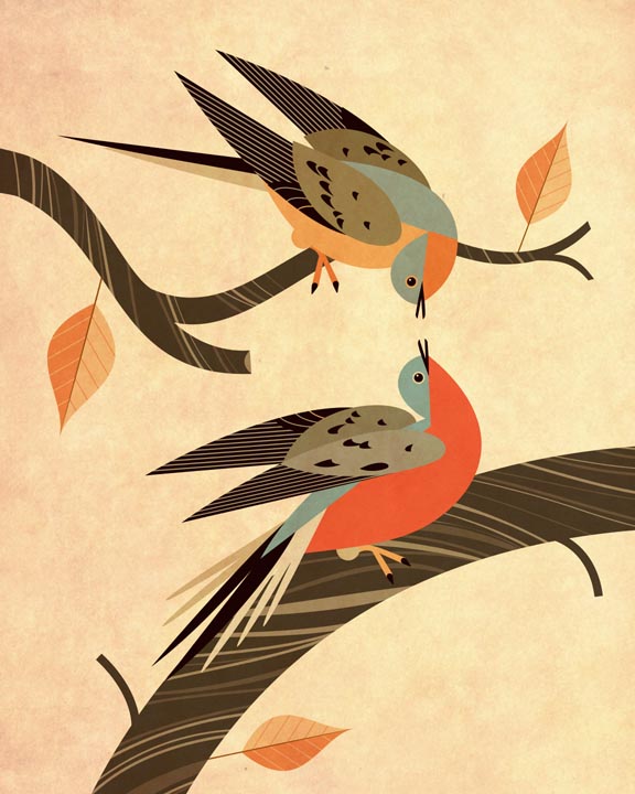 Scott Partridge - illustration - passenger pigeons