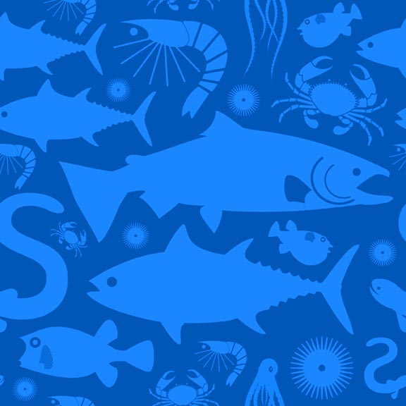 Scott Partridge - illustration - sealife