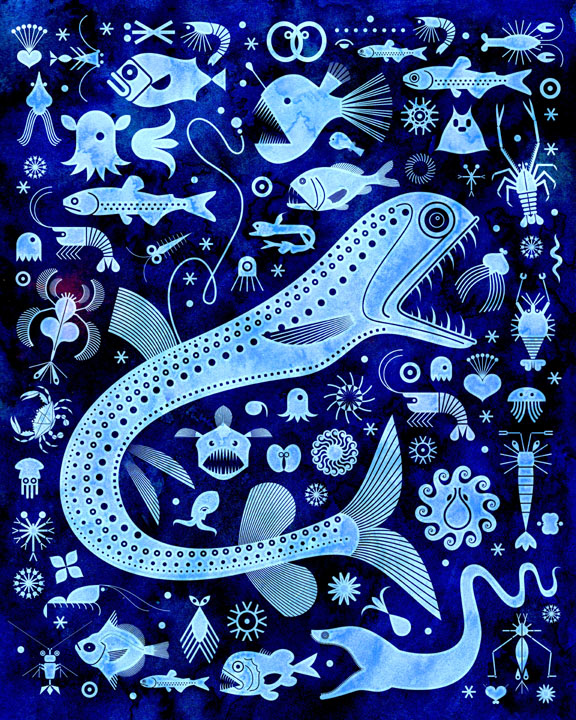 the abyssal zone (deep sea life 2)