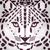 snow leopard