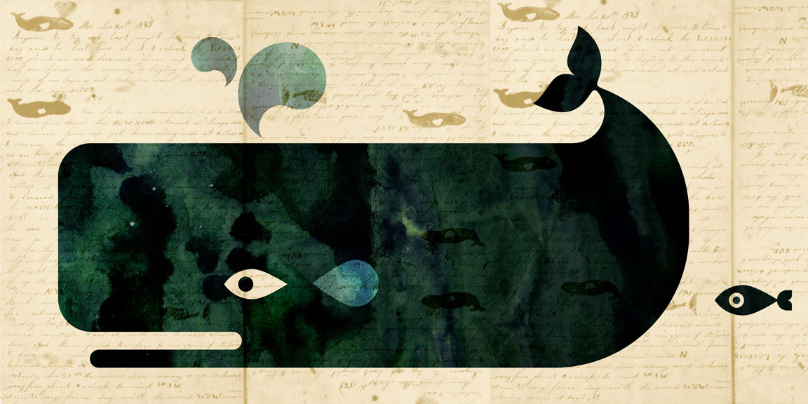Scott Partridge - illustration - whale