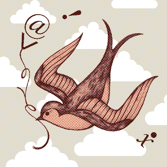 swallow